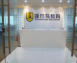 啄木鳥(niǎo)教育 無(wú)資質(zhì)留學(xué)中介服務(wù)背后的自費(fèi)留學(xué)隱憂